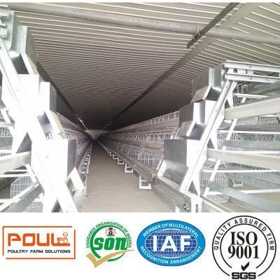 Automatic Poultry Farm Layer Cage System