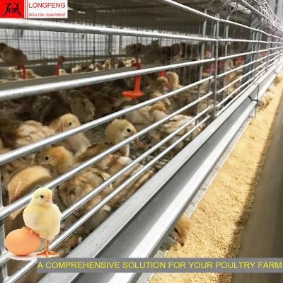 Computerized Electric Adapted to All Climatic Conditions New Chicken House with High Quality