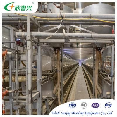 Automatic Battery H Type 4 Tiers Bird-Harvesting Equipment Broiler Farminglayer Raising Cage for Chicken Poultry Farm