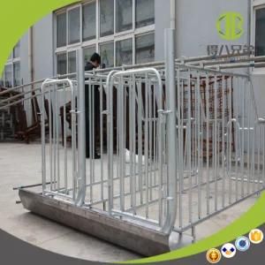 Hot Sale High Quality Gestation Stall Individual Stall Need Agent