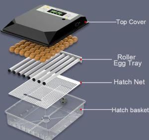Chinese Factory Hhd Full Automatic Poultry Chicken Egg Incubator with LED Efficient Egg Testing Function