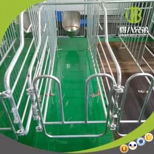 Supplier and Producer Competitive Price Pig Gestation Stall for Sale