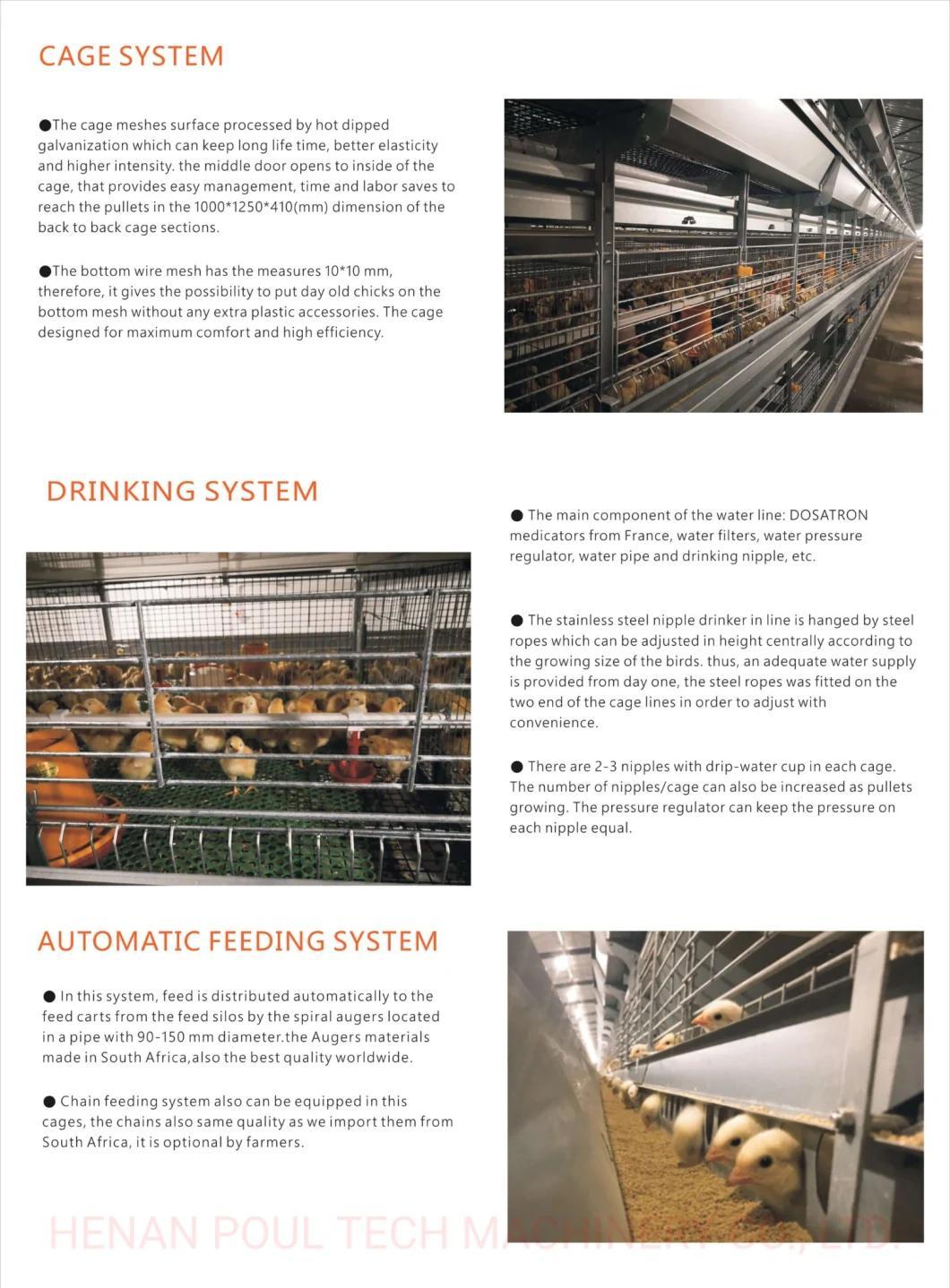 Chicken Cage Type a or H Poultry Raising Equipment