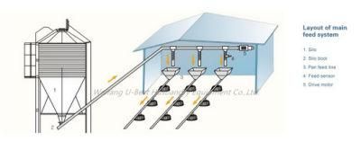 New Design Poultry Automatic Feeding System for Broiler Farm