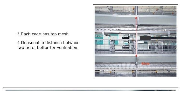 2021 New Type Layer Chicken Cage with Automatic Machine System (H Frame)