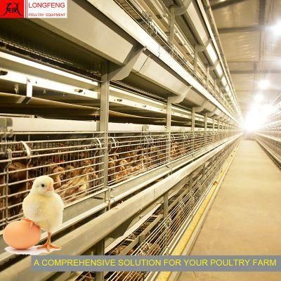 Local After-Sale Service in Asia Poultry Drinkers Pullet Layer Chicken Cage