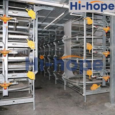 Chicken Cage for Layer, Broiler, Pullet
