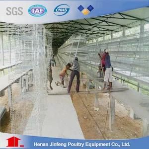 Hot Sale in Africa Battery Poultry Chicken Cage for Poultry Farm
