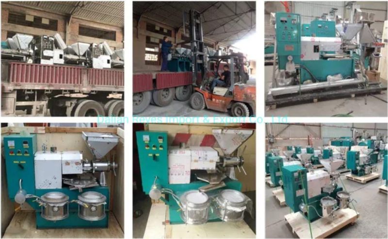 Mini Olive Oil Press Screw Machine