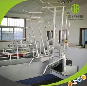 Automatic Farrowing Crate for Sow High Survival Rate Farrowing Crates