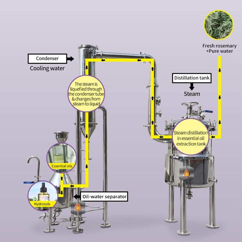 Stainless Steel Essential Oil Distillation, Pure Dew Extraction Equipment