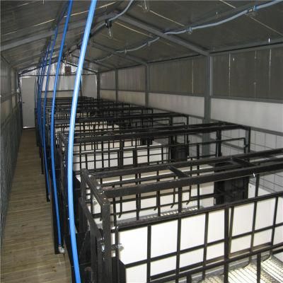 Long Time Usage Easily Built Quality Steel Structure Pig Shed