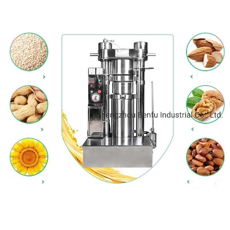 100kg 45kg 20 Kg Cocoa Olive Pumpkin Extraction Hydraulic Cold Mini Oil Press Machine