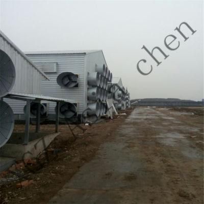 Factory Poultry Farm Machinery with Free Design Steel Poultry Shed