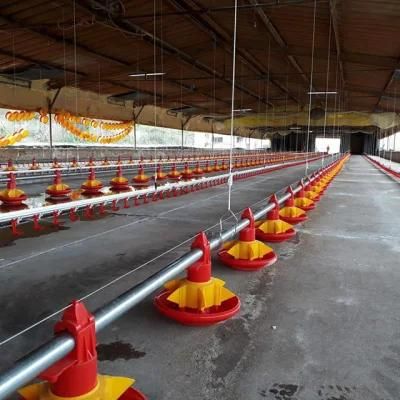 Automatic Pan Feeding Line for Chicken Farm Equipment