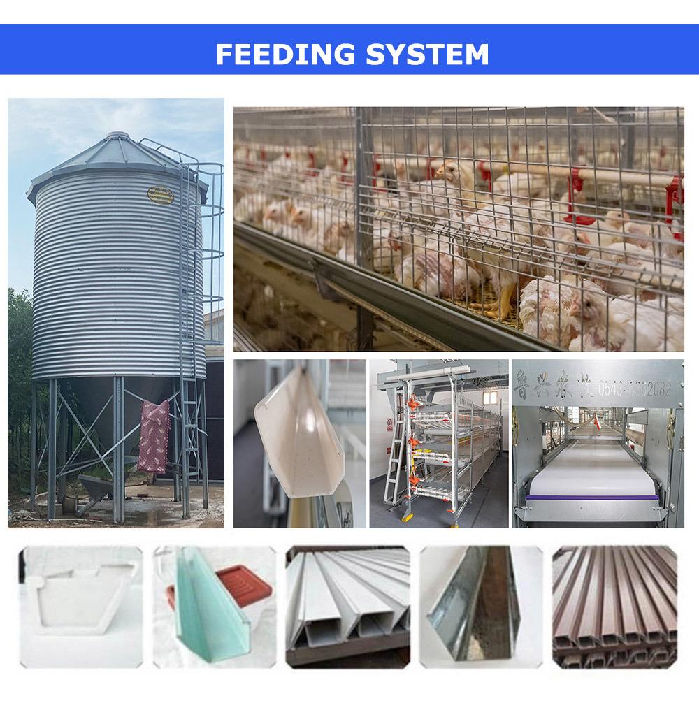 Feeding Systems Brooding Equipment Bangladesh Breeders Cages Poultry Battery Cage for Nigerian Farm