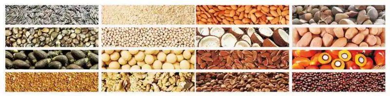 Factory Direct Selling Screw Vegetable Seed Oil Press