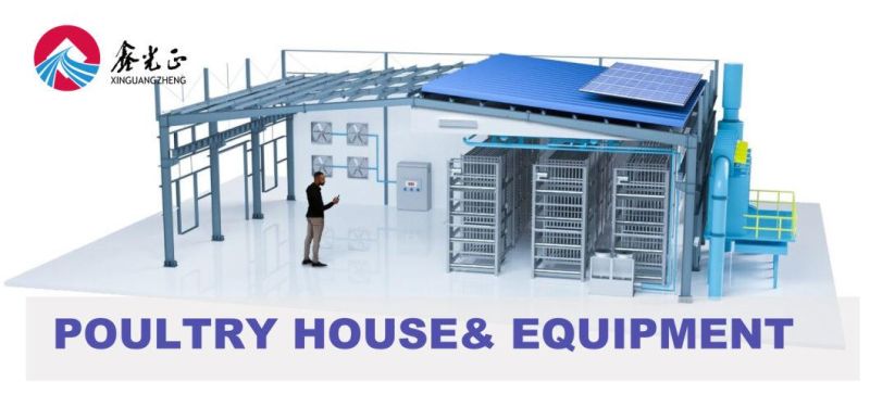 Turnkey Full Automatic Steel Structure Poultry Farm Equipment
