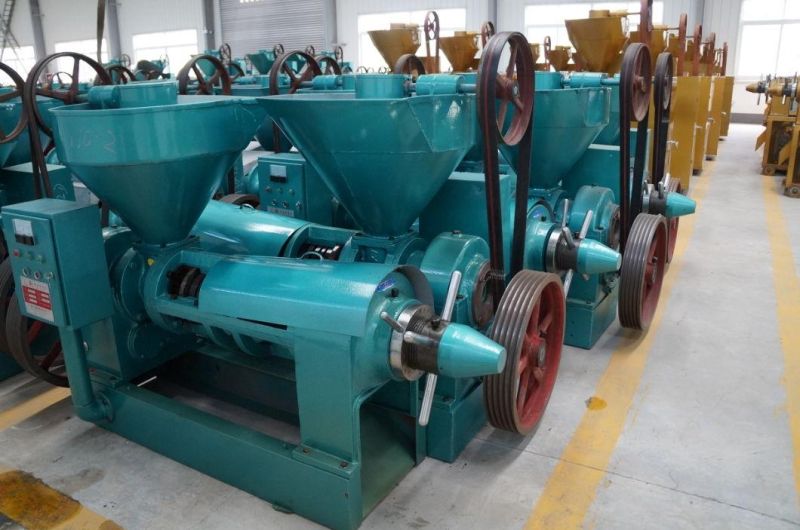 6.5tpd Sunflower Oil Press Machine