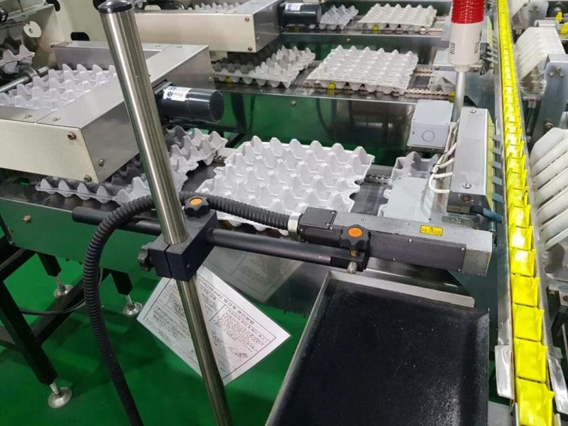 The Automatic Egg Grading Machine for Layer House