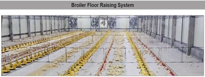 Super Quality 4tier 160birds Layer Chicken Battery Poultry Cage for Sale