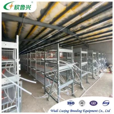 Hot DIP Galvanized Battery Poultry Farm H Frame Automatic Layer Chicken Cage