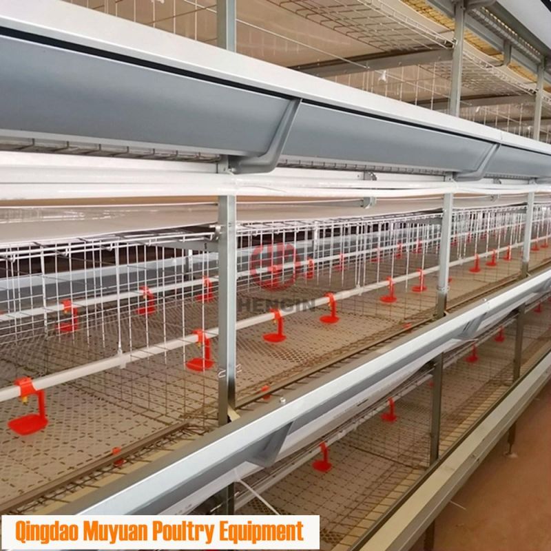 Completed Galvanized H Frame Battery Chicken Poultry Farm/Farming Livestock Machinery /Equipment for Meat Broiler Cage with Manual Birds-Harvest