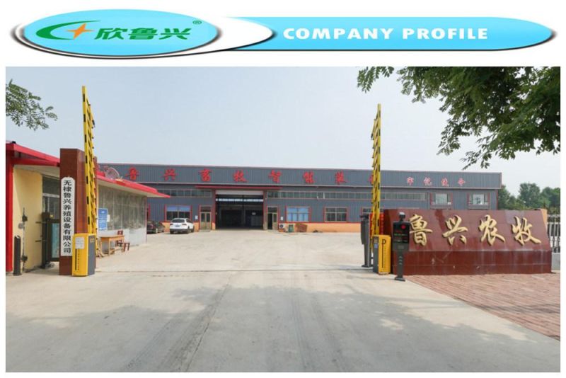 Chicken Feeding Cages for Broiler Layer Duck Poultry Quail Birds Feeding Equipment System Automatic Drinking