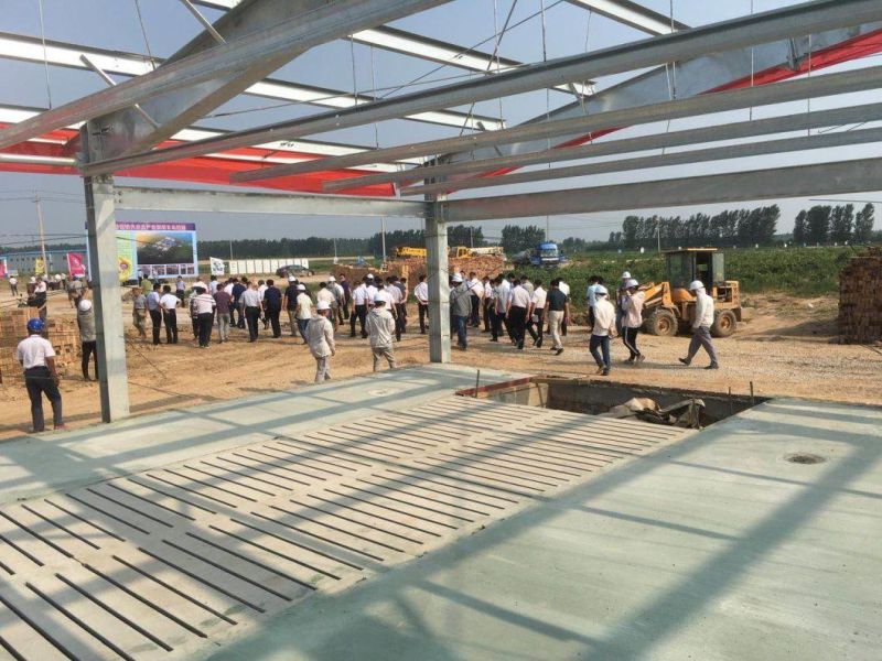 Professional Steel Structure Chicken Farm with Ce Certification