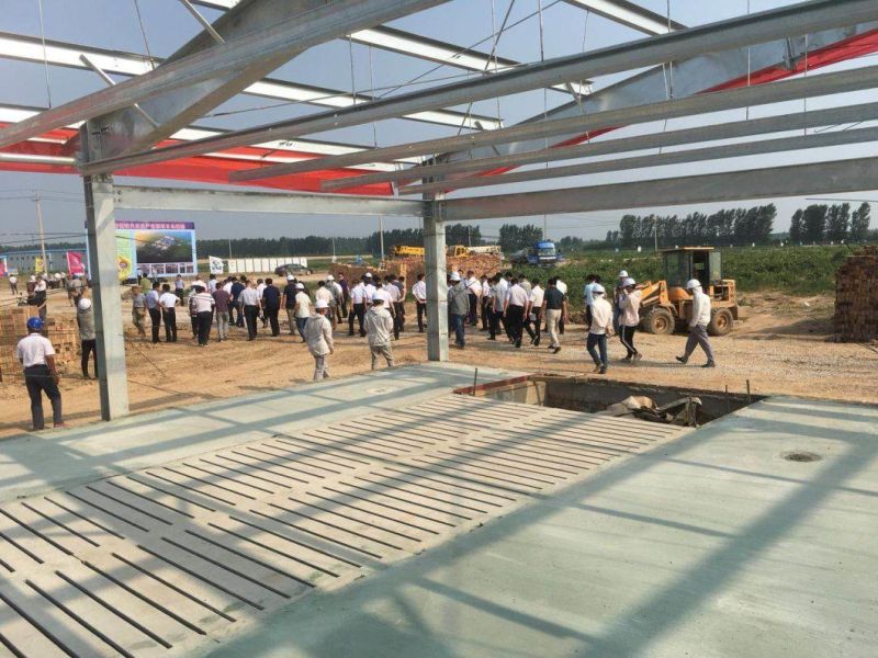 Professional Steel Structure Chicken Farm with Ce Certification