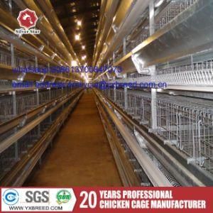 Chicken Cage of Poultry Equipment for Sale in Zambia