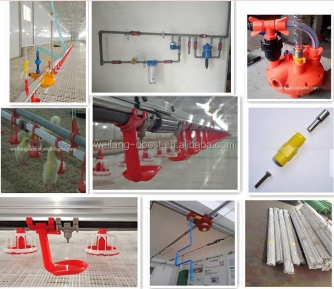 Animal Husbandry Equipment for Chicken House/Shed with Plastic Floor
