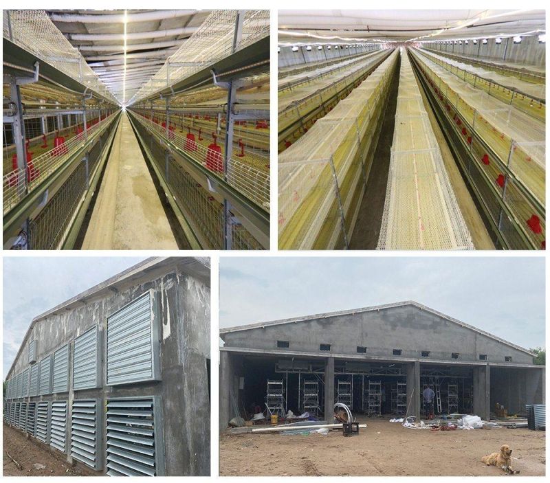 Large-Scale Fully Automatic Layer Breeding Cages for Battery Chicken Breeding in Poultry Farms