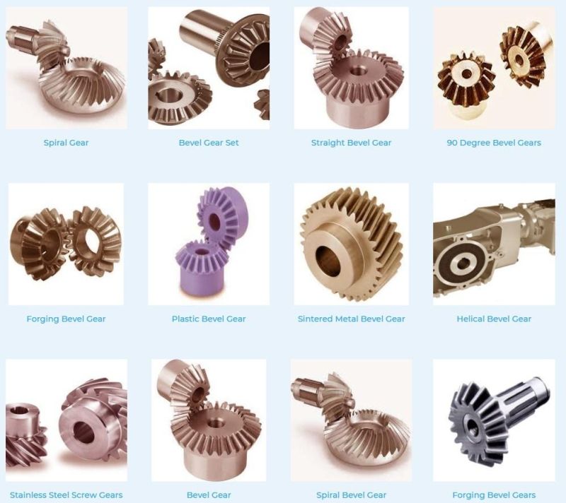 Bevel Gear