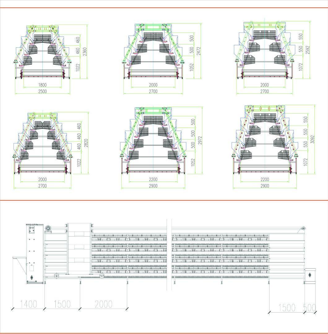 Egg Collection System Poultry Farm Equipment Layer Cage on Sale