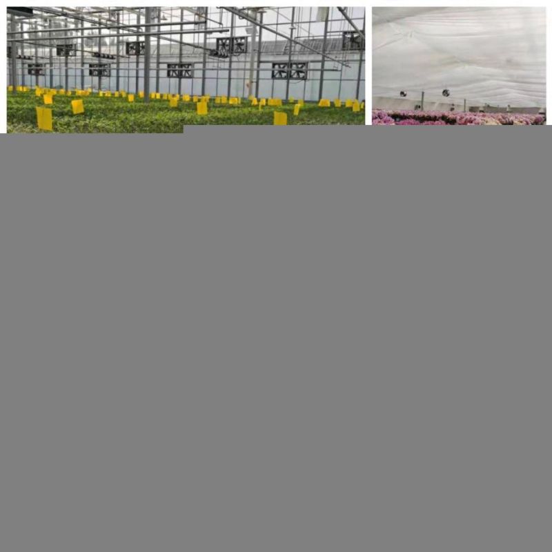 Fast Fit Hydroponic Movable Table Stand 4X 8 FT for Greenhouse Planting Flood Tray