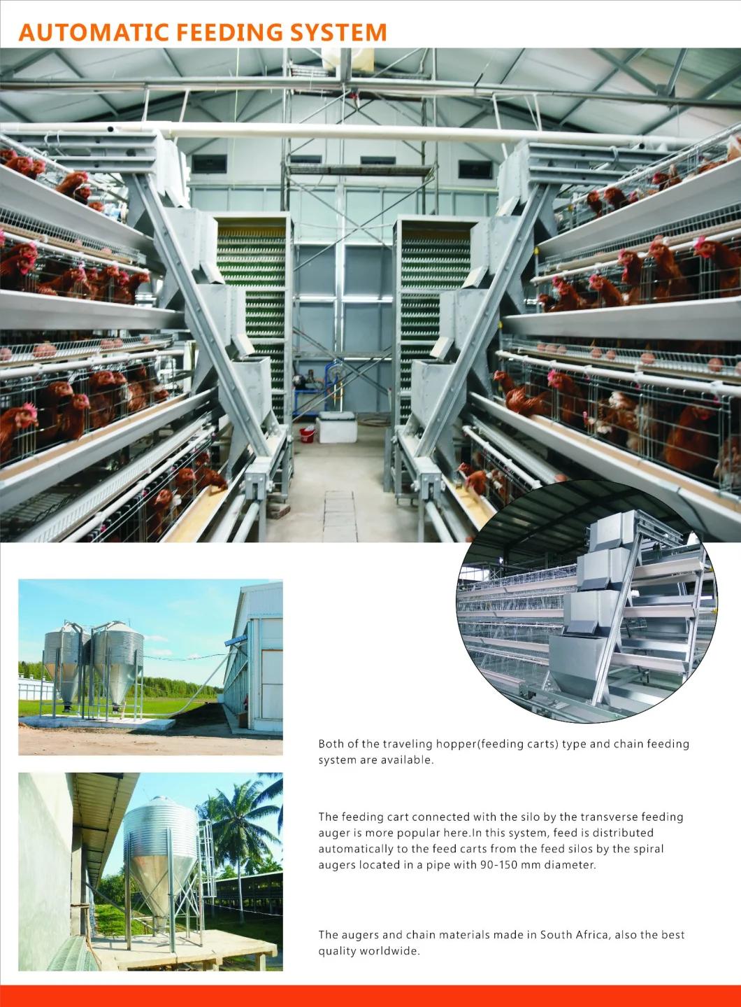 Specialized Battery Layer Cage for Poultry Farm in Africa