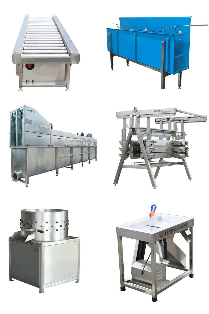 Complete Poultry Chicken Slaughtering Line for Chicken Killing, Evisceration, Pre Cooling, Cut up Line.