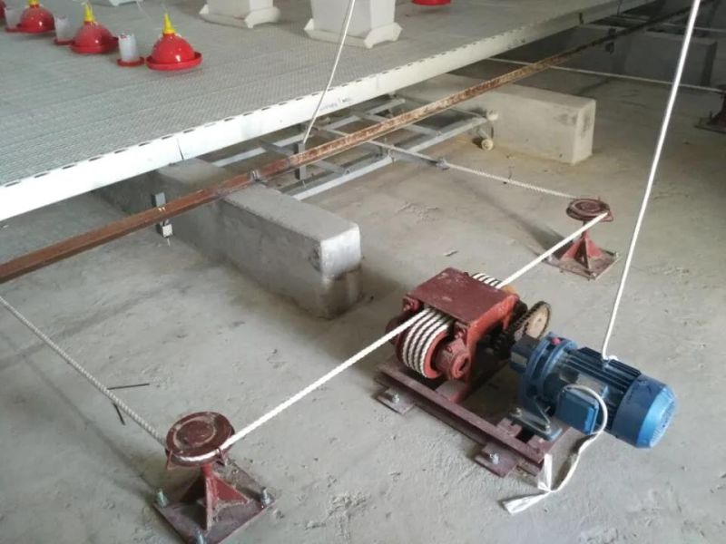 Steel Structure Duck House
