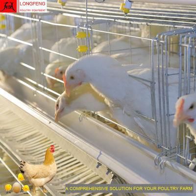 Longfeng Hot Galvanized Poultry Equipment with Factory Price