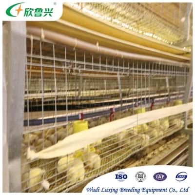 Modern Automatic Galvanized Chicken Cage House Poultry Farm Equipment for Sale