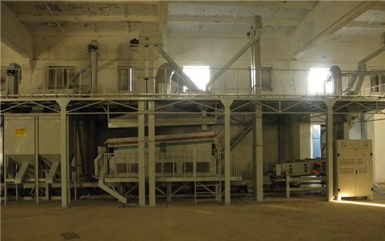 Wheat, Maize, Corn Seed Cleaning Processing Plant