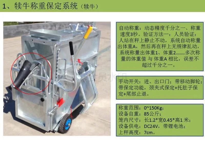 Hot Dipped Galvanised Livestock Equipment Cattle Calf Box