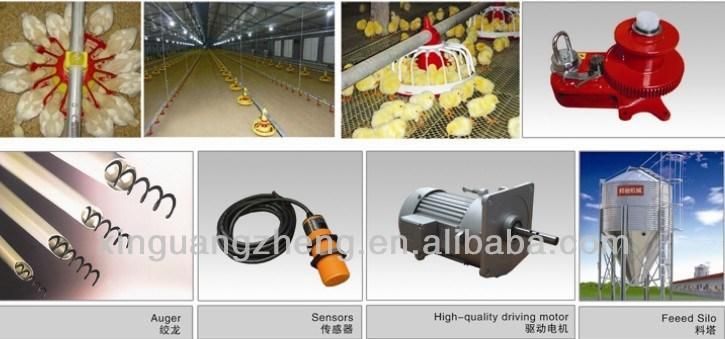 Poultry House with Full Set Chicken Farm Equipment
