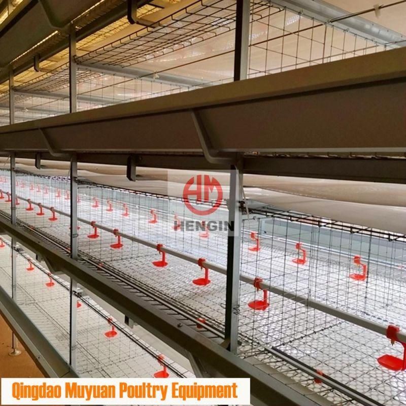 Completed Galvanized H Frame Battery Chicken Poultry Farm/Farming Livestock Machinery /Equipment for Meat Broiler Cage with Manual Birds-Harvest