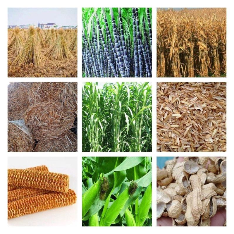 Agricultural Machinery Adjustable Cow Grass Chopper Machine Chaff Cutter