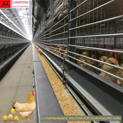 Low Price Hopper Trolley Cart 144, 192, 240, 288birds Poultry Farm Chicken Cage