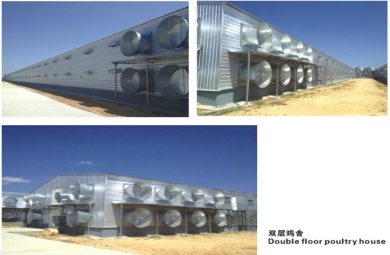 Double Floors of Steel Structure Chicken House