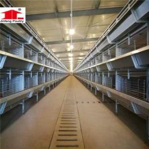 Multi-Tiers Layer Chicken Cages for Poultry Farm