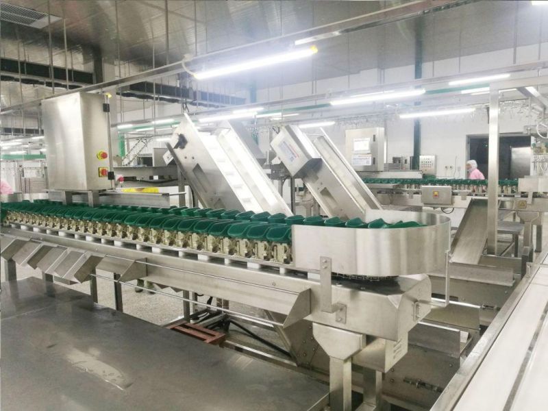 Chicken Processing Plant and Slaughterhouse Equipped by The Automatic Chicken Slaughtering Machine